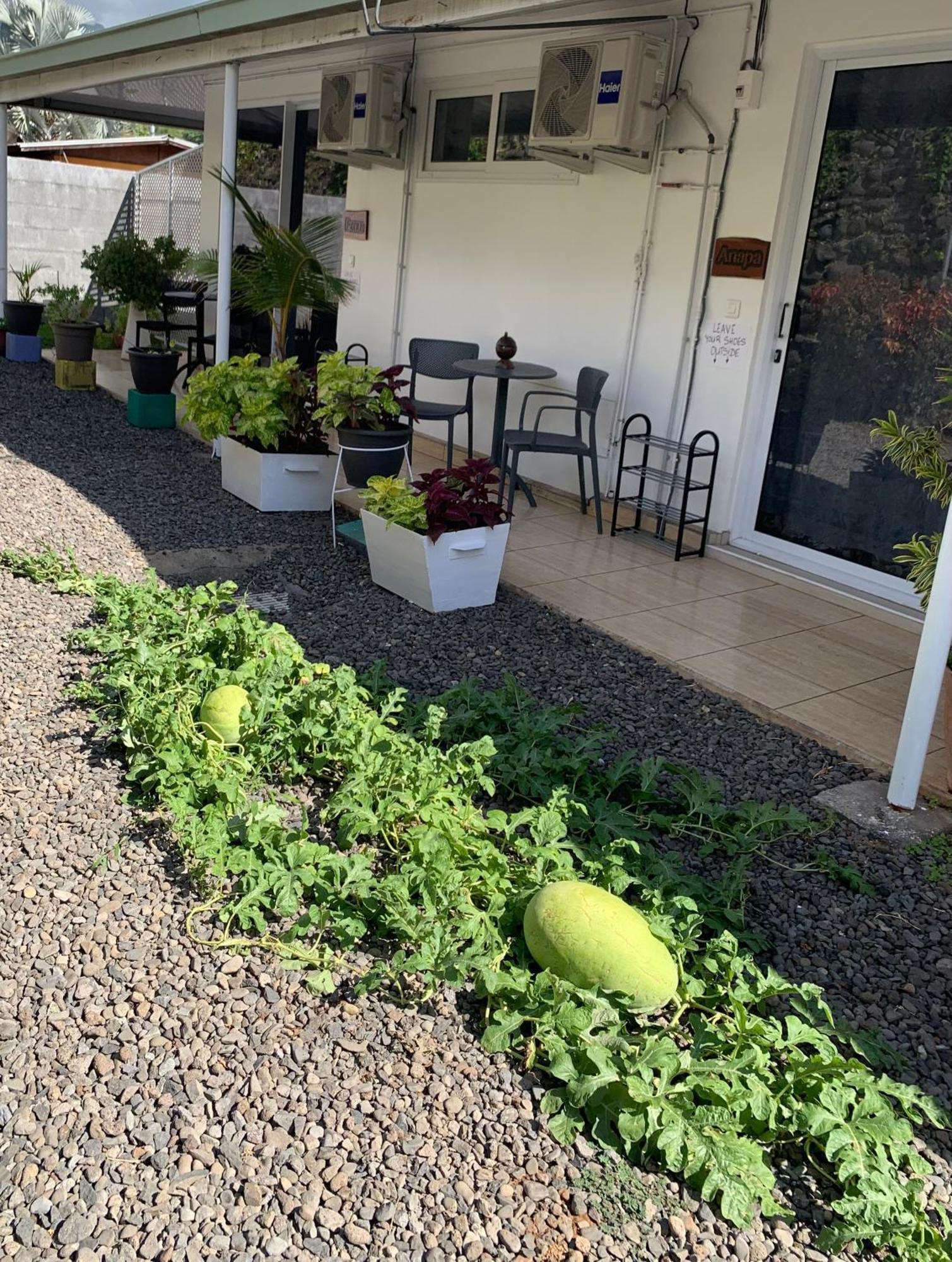 A Tomo Mai Homestay, Close To Airport, Private Bathroom Free Parking And Wifi With High Connection And Breakfast Optional 파페에테 외부 사진